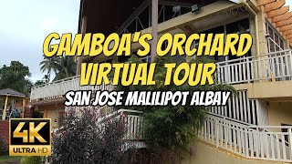 4K HD THE GAMBOAS ORCHARD RESORT VIRTUAL WALKING TOUR SAN JOSE MALILIPOT ALBAY NB JourneyPH 🇵🇭 [upl. by Nagud]