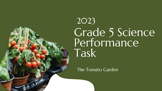 2023 Grade 5 Science Performance Task [upl. by Hailahk]