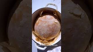 Best No Knead Bread Recipe [upl. by Ystap]