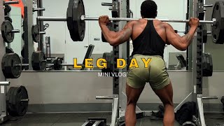 Leg Day Mini Vlog [upl. by Ahsila]