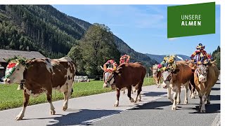 Feierlicher Almabtrieb von der Walcher Alm vor der Kulisse von König Dachstein [upl. by Ojyllek]