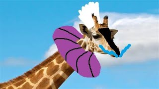 Match contre marc et sa girafe gossante [upl. by Gainer]