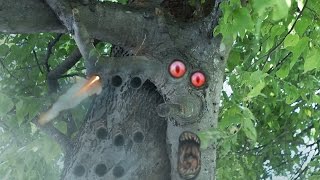 TREE MONSTER [upl. by Kit]