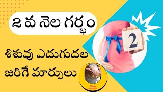 రెండవ నెలలో శిశువుతల్లి లో కలిగే మార్పులు2nd Month Pregnancy in TeluguBaby Growth in Telugu [upl. by Middlesworth]