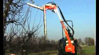 Подстригающая машина Rinieri ORP orchards pruning machine [upl. by Nylloh]