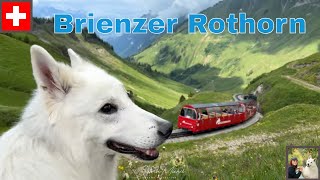 Brienzer Rothorn train ride  mountain hotel [upl. by Enihpad609]