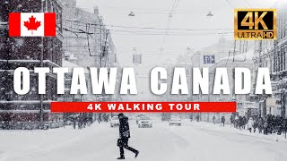 Walking in the Snow in Ottawa Canada  City Ambience 4K HDR 60fps [upl. by Andi]