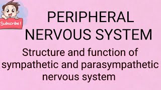 Peripheral Nervous System [upl. by Kauslick]