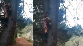 Most DISTURBING Camping Encounters Caught on Camera Vol13 [upl. by Egreog]