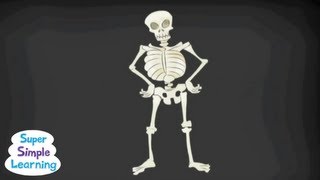 The Skeleton Dance  Classroom Fun  Super Simple Songs [upl. by Adniralc]