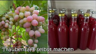 Traubensaft selbst machen [upl. by Gish840]