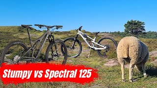 KING of the TRAILS  Stumpjumper Comp vs Spectral 125 CF 7 [upl. by Kal]