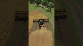 Oat harvest  Farming Simulator 25 [upl. by Niwdla715]