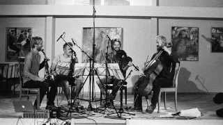 Danish String Quartet  Wood Works official album trailer  HD [upl. by Anuahsed]