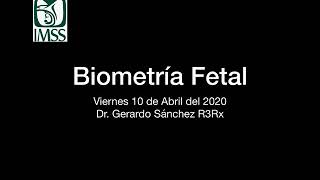 02 Biometría Fetal [upl. by Janos800]