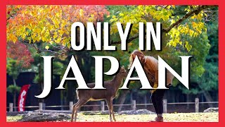 Top 10 Must Visit Places in Japan Hidden Gems amp Historic Wonders [upl. by Gelasias]