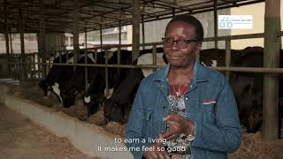 Meved Dairy Farm  The Story of Anne Mwangi [upl. by Lau476]