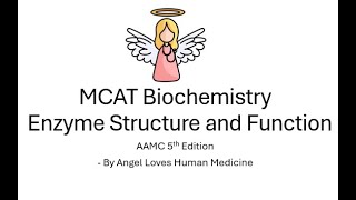 Enzyme Structure and Function MCAT Biochemistry biochemistry [upl. by Misha]