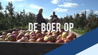 De Boer Op Appels Afl 3 [upl. by Boleslaw]