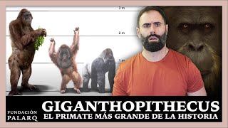 ¿Por Qué Desapareció el Gigantopithecus El Coloso del Pleistoceno la Historia de una Extinción [upl. by Row]