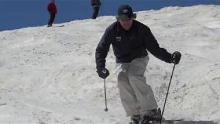 How To Ski Moguls  Blue Line Mogul Skiing Technique Video Demo [upl. by Airdnaxela670]