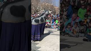 Ball de la VAQUETA Estefania Carnaval de Solsona [upl. by Ireg161]