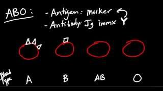 Blood Type ABO and Rh Made Simple [upl. by Wenoa5]