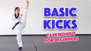 Learn Martial Arts 3 Basic Kicks for Beginners [upl. by Notsirb]