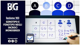 GENOTIPO e FENOTIPO negli INCROCI MONOIBRIDI  Esercizi di GENETICA [upl. by Livia]