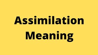 assimilation meaning [upl. by Sissie]