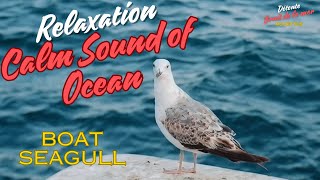 Relaxation  Calm Sound of Ocean  Boat Seagull [upl. by Alroi162]