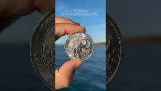 2024 Woolly Mammoth 2 Oz Silver Coin Review in Kincardine Ontario Canada shorts [upl. by Lindbom137]