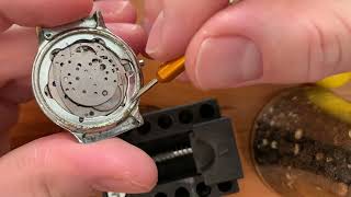 How to Inspect A 1970s Vintage Timex Watch [upl. by Nicholson]