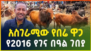 አስገራሚው የበሬ ዋጋ  የ2016 የገና በዓል ገበያ  Christmas market survey   Gebeya  Ethiopia [upl. by Nitsirc643]