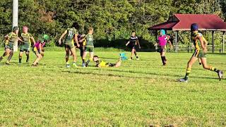 Sunshine Cowboys U11s vs Windsor Wolves U11s Highlights Sydney Tour 2024 Div 1 [upl. by Herstein634]