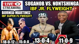 SUGANOB VS NONTSHINGA IBF JR FLY  BORNEA VS MARTINEZ IBF SUPER FLY [upl. by Tades]