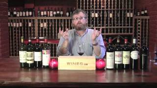 A Tour of Bordeaux  featuring Rob Moshein for Winescom TV [upl. by Etta363]