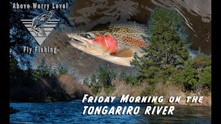 A Friday Morning on the TONGARIRO RIVER [upl. by Assyl642]