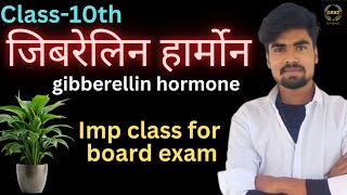 जिबेरेलिन हॉर्मोन  gibberellin hormone  biology by hardik sir [upl. by Dodson213]