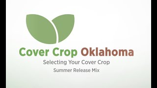 Discussing the cover crop mix Summer Crop Mix [upl. by Mcevoy]