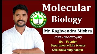 Capping mRNA Modification CSIRUGCNETJRF LIFE SCIENCEGATEDBTICMR Genesis Institute [upl. by Ferro]