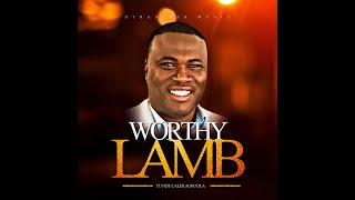 Worthy Lamb Official Lyric Video [upl. by Cindi622]