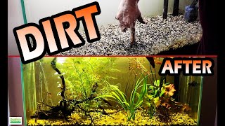 DIRT SUBSTRATE Aquarium 30 Days Later Planted Aquarium [upl. by Eimorej384]