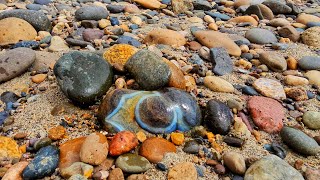 Stunning Stones Secretly Shining All Around My Toes rockhounding hiddengems [upl. by Parette208]