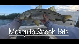 Mosquito Lagoon  Snook Bite [upl. by Hsirk]