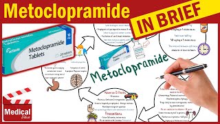 Metoclopramide Reglan 10 mg What is Metoclopramide Used For Dosage Side Effects amp Precautions [upl. by Daukas59]