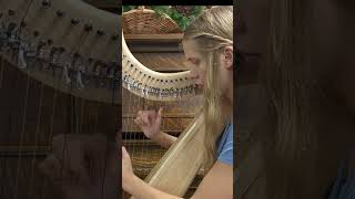 Planxty Irwin Celtic Harp shorts harp celticharp irishmusic irishtune [upl. by Torin910]