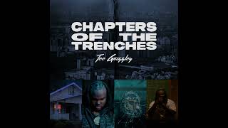 Tee Grizzley  Robbery 5 Clean [upl. by Bassett]