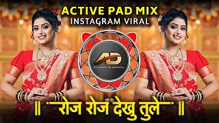 Roj Roj Dekhu Tule  Raja Tu Tu Mana Raja Re  Active Pad Mix  Dj Dipak AD [upl. by Eibba889]