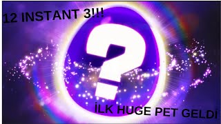 PETS GO 12 INSTANT 3 AÇIYORUZ  İLK HUGE PET [upl. by Conrado]